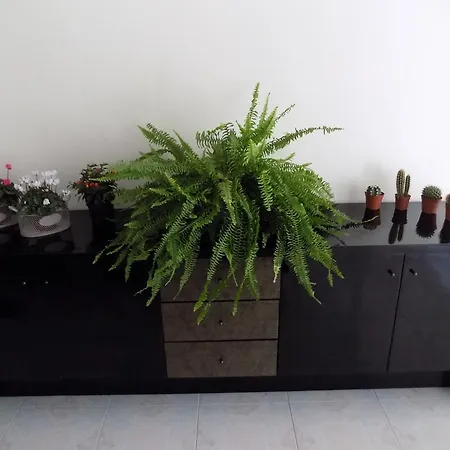 Apartment Punta Negra *