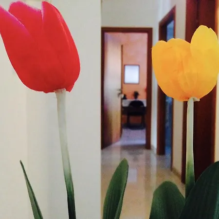 Apartment Punta Negra